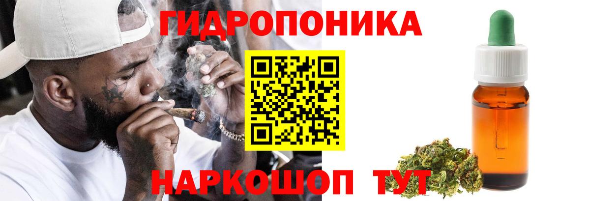 Канабис White Widow  Вход с VPN  Богородицк  Канабис индика  Бошки Шишки марихуана 